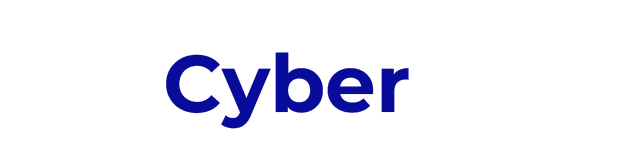 thecyberlearn.in